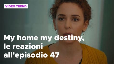 My Home My Destiny Il Riassunto E Le Reazioni Del Novembre