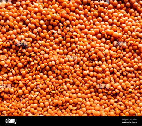 Pink Lentils Hi Res Stock Photography And Images Alamy