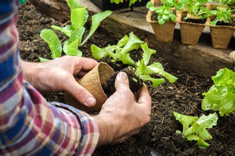 Need To Brush Up On Your Gardening Skills Go To Gardening School