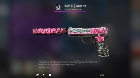 The Best USP S Skins In CS GO GINX Esports TV