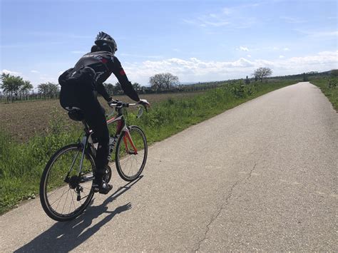 Rennrad und Windsurfen - mit dem Wohnmobil an den Neusiedlersee