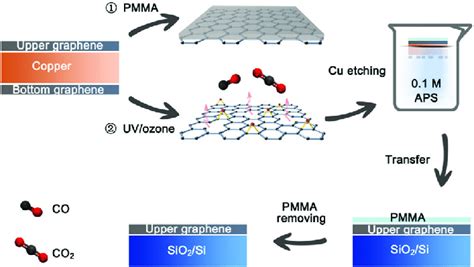 Schematic Illustration Of The Modified Transfer Method With UV Ozone