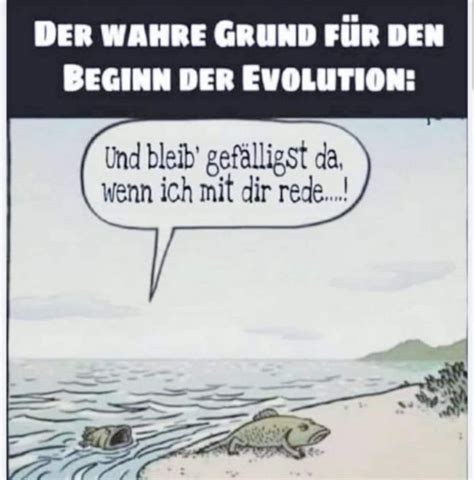 Maximilian P Tz On Twitter Rt Casanovacode Und Trotzdem Lieben Wir