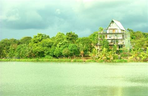 Roshographs The Maharagama Lake And Nature Around It