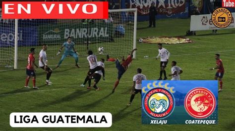 XELAJU VS COATEPEQUE EN VIVO POR GRANEGA COSTA RICA 2024 CLAUSURA