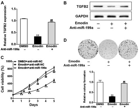 Emodin Inhibits Tgf β2 By Activating The Foxd3mir‑199a Axis In Ovarian