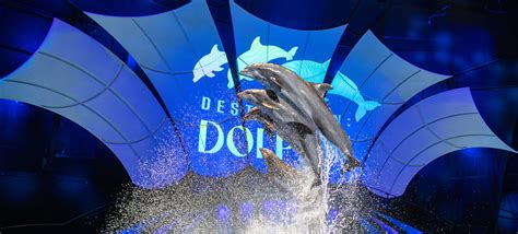 Dolphin Presentation - Georgia Aquarium