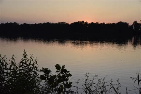 Hörstener See Gemeinde Seevetal warnt vor gefährlicher Raupe