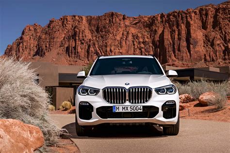 2019 BMW X5 preview