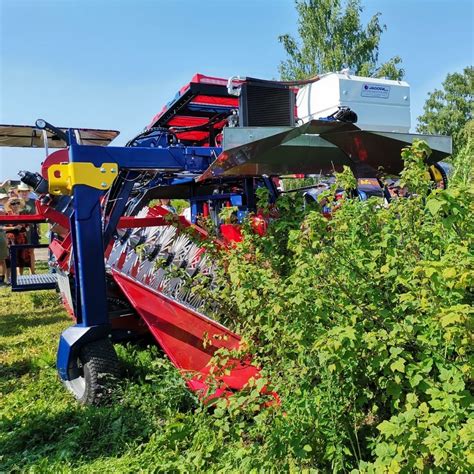 Récolteuse de framboises OSKAR A01 JAGODA JPS Agromachines de