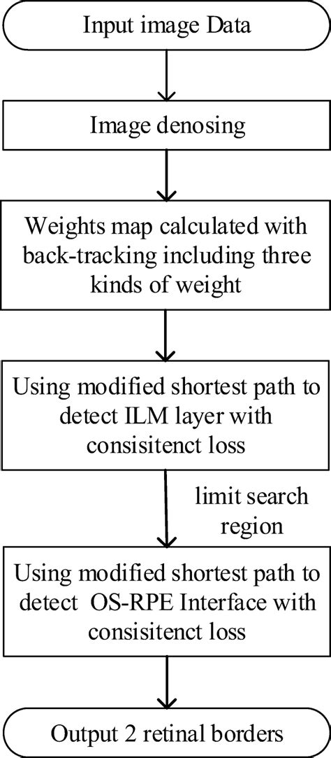 Flowchart Of The Proposed Segmentation Method For An Oct Image