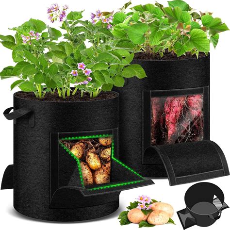 how to plant potatoes in bags 7