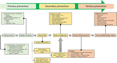 Current Management Strategies Of Chronic Kidney Disease In Resource Li