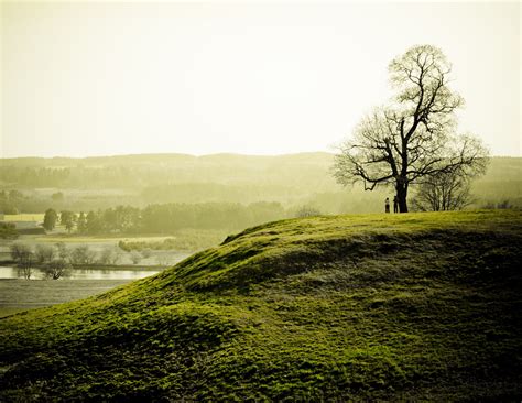 Wallpaper Id 955979 Hill Lithuania Nature Grass Field Silhouette Rural Scene Tree