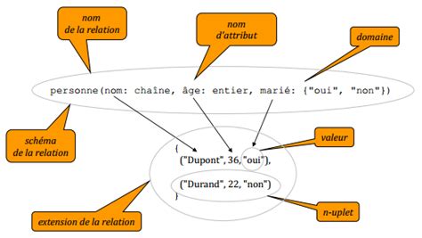 Apprendre Les Bases De Données Et Sql