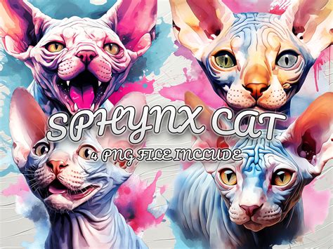 A set of Sphynx Cat by Weiss Design on Dribbble