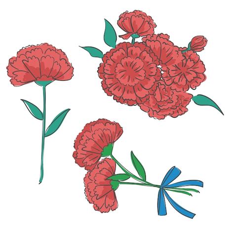 Ilustración de flor de clavel Vector Premium