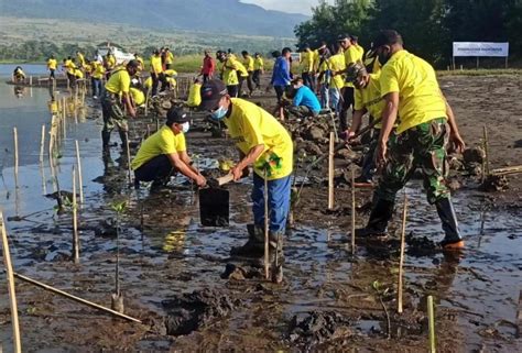 Asdp Konsisten Dukung Gerakan Reduksi Emisi Karbon Berhasil Kumpulkan