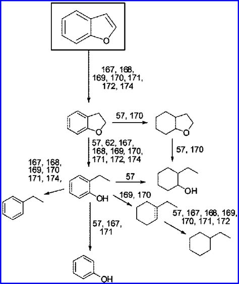 Scheme Reaction Of The Simple Lignin Model Compound Benzofuran