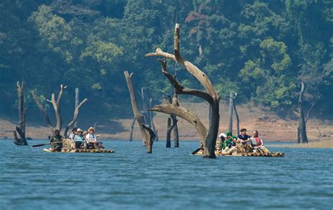 How To Reach Thekkady From Madurai Star Resort In Kerala