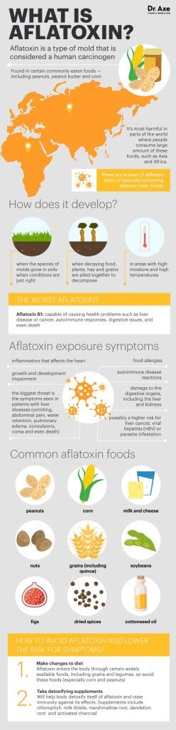 Aflatoxin How To Avoid This Common Food Carcinogen