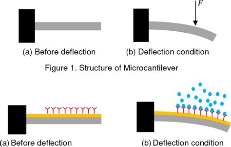 Figure 1 From Measurement And Simulation Techniques For Piezoresistive Microcantilever Biosensor