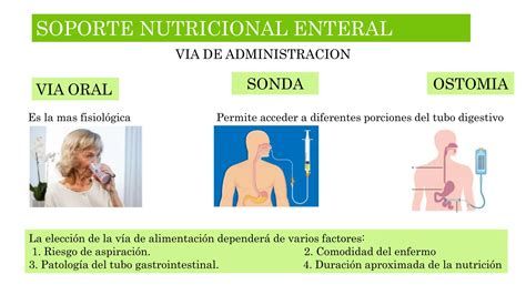 Soporte Nutricional Via Oral Y Enteral Pptx