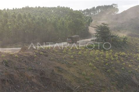 Lahan Ibu Kota Baru Antara Foto