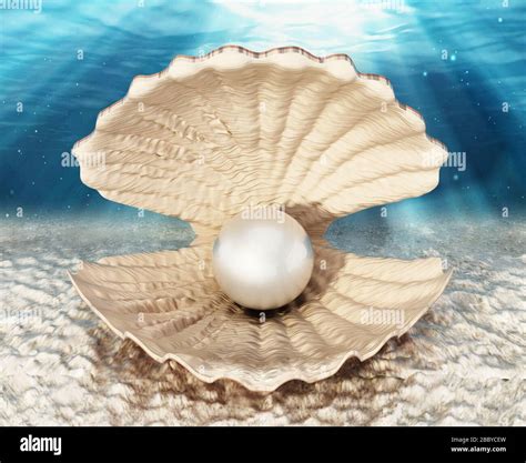 Giant Pearl Fotografías E Imágenes De Alta Resolución Alamy