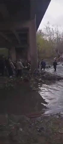 Tras Accidente De Cami N Lugare Os Faenan Ganado En El R O Luj N Youtube