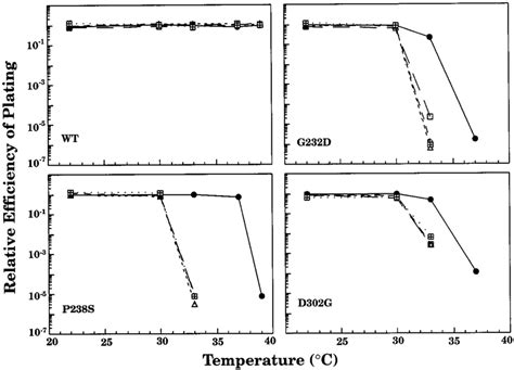 The Effect Of Mutant Groel And Groes On The Efficiency Of Plating Of