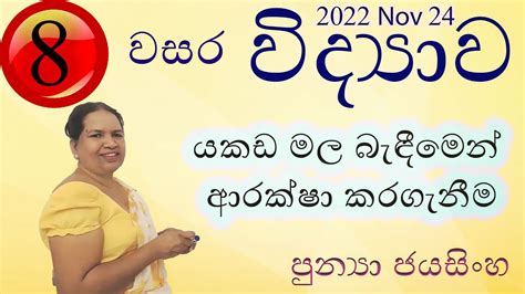 08 වන පඩම පදරථය වපරයස 06 කටස 8 වන ශරණය වදයව යකඩ