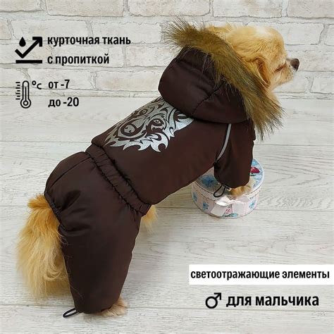 Зимний комбинезон для собак мелких пород (для мальчика) "Dilai" WOLF ...