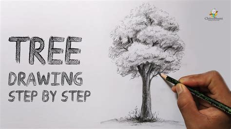 How To Draw A Tree Easy Step By Step Pencil Drawing Shading Tree