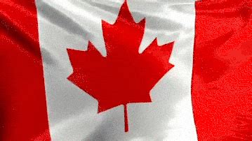 Canadian Flag GIFs - Find & Share on GIPHY