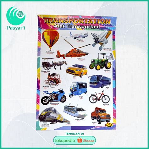 Jual Poster Gambar Binatang Air Transportasi Poster Edukasi Dinding