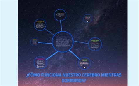 C Mo Funciona Nuestro Cerebro Mientras Dormimos By Fer Espinosa On Prezi