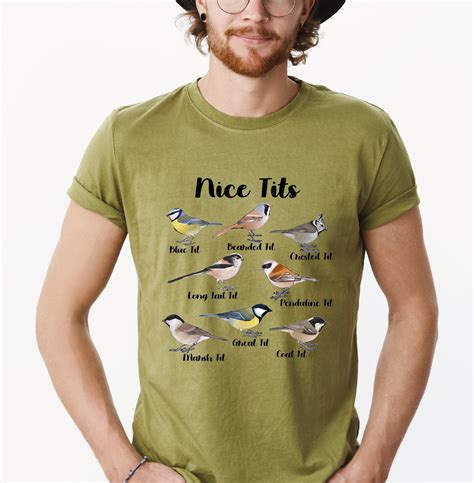 Nice Tits Png Retro Cute Bird Blue Tit Breaded Tit Png Bird Png Cut File Outdoors Png Retro