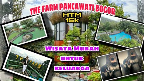 Wisata Murah Untuk Keluarga Yang Lagi Hits The Farm Pancawati Bogor