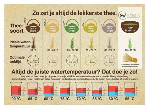 Schäfer RVS waterkoker 1 7L Retro Design Met thermostaat 2200W