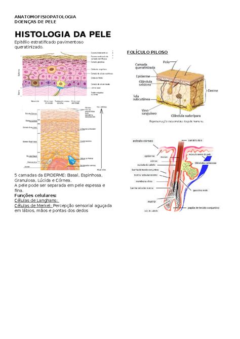 Anatomofisiopatologia O Que É - ANATOMOFISIOPATOLOGIA DAS DOENÇAS DE PELE - RESUMO E ANÁLISE - Studocu