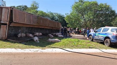 Carreta Carregada Su Nos Tomba Em Anel Vi Rio Em Dourados Portal