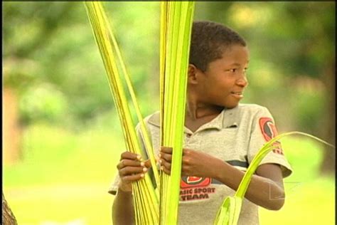 Vídeo No Maranhão segundo o IBGE os negros são maioria cerca de 74