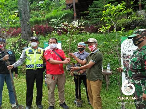 Perhutani Peringati Sumpah Pemuda Perhutani Dan Stakeholder Tanam