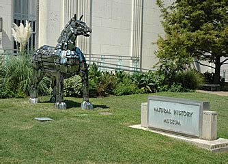 Dallas Museum of Natural History - Dallas Museums