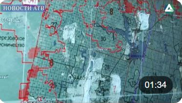 Архитекторы представили проект «Асбест-парка» | Новости Асбеста «Студия ...