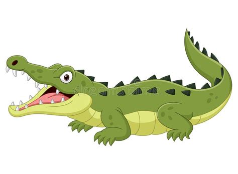 Crocodilo De Desenho Animado Isolado Em Fundo Branco Ilustra O Do