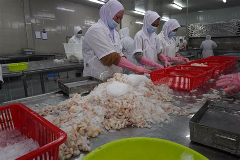 B2B & B2C Seafood Supply - Sabah Sea Produce