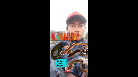 MANCING BLUT SUPER TEMN² YouTube