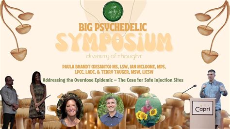 Paula Brandt Ian Mcloone Terry Tauger The Overdose Epidemic Big